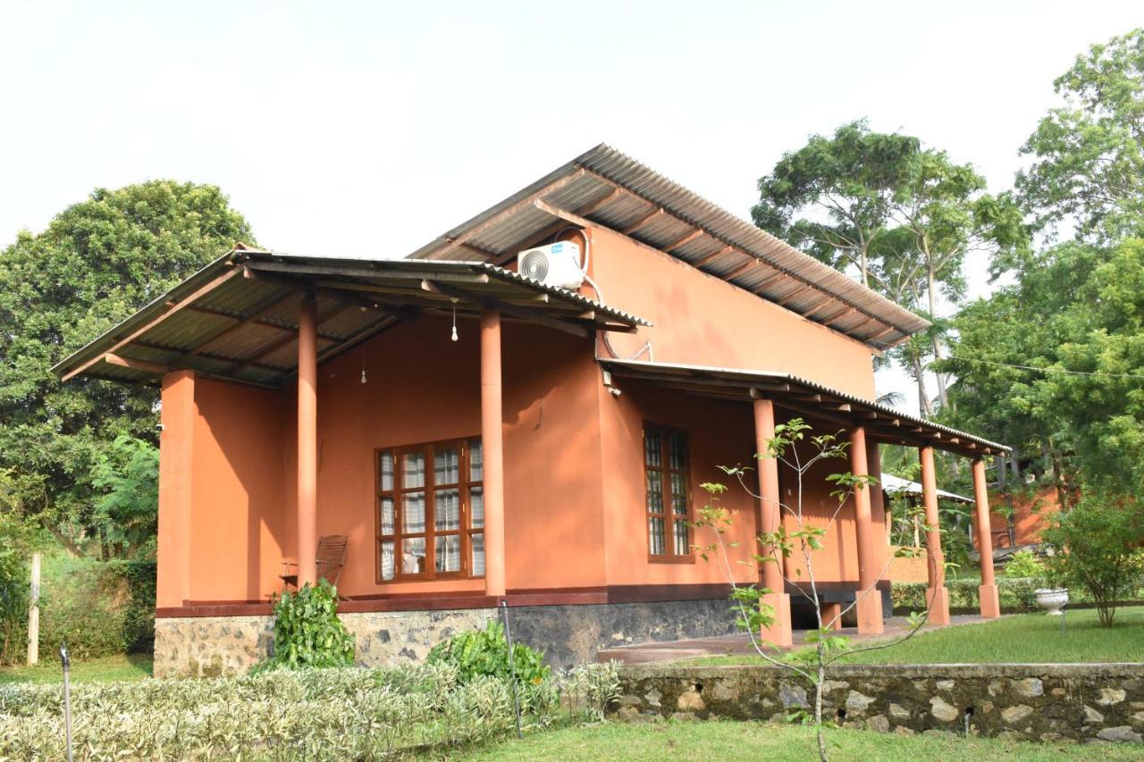 Nil Bawana Nature Resort Удавалаве Екстер'єр фото
