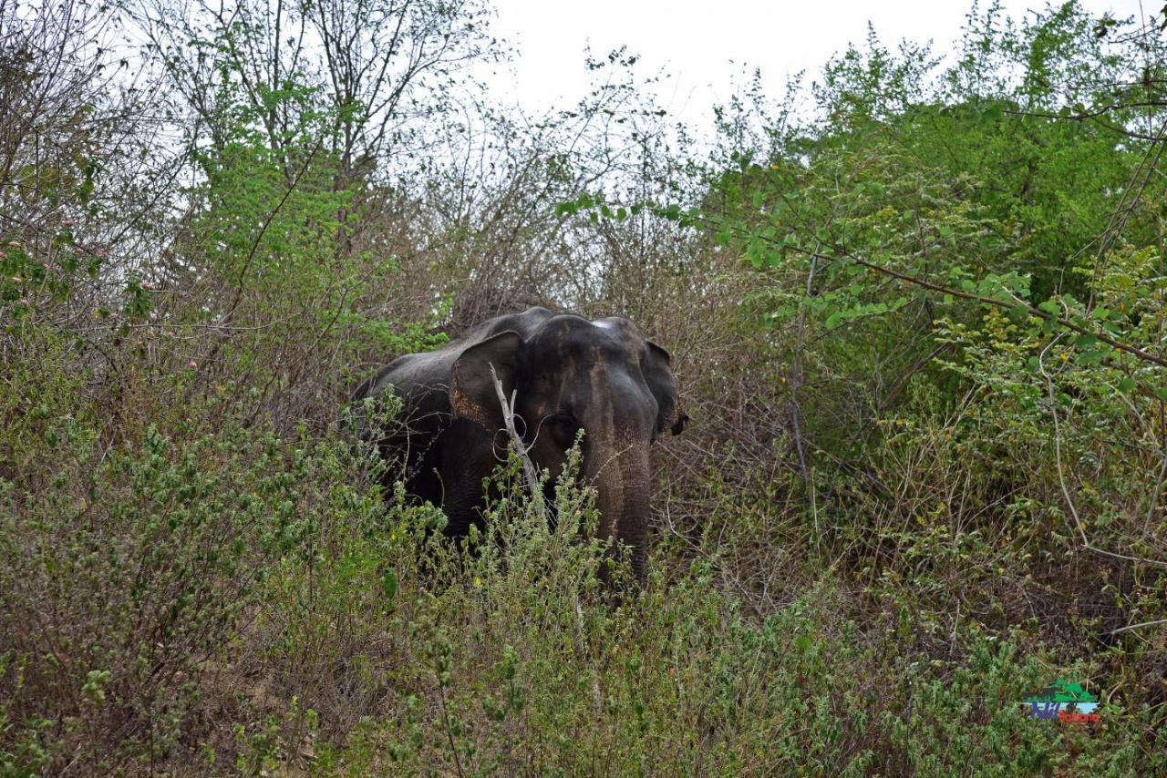 Nil Bawana Nature Resort Удавалаве Екстер'єр фото